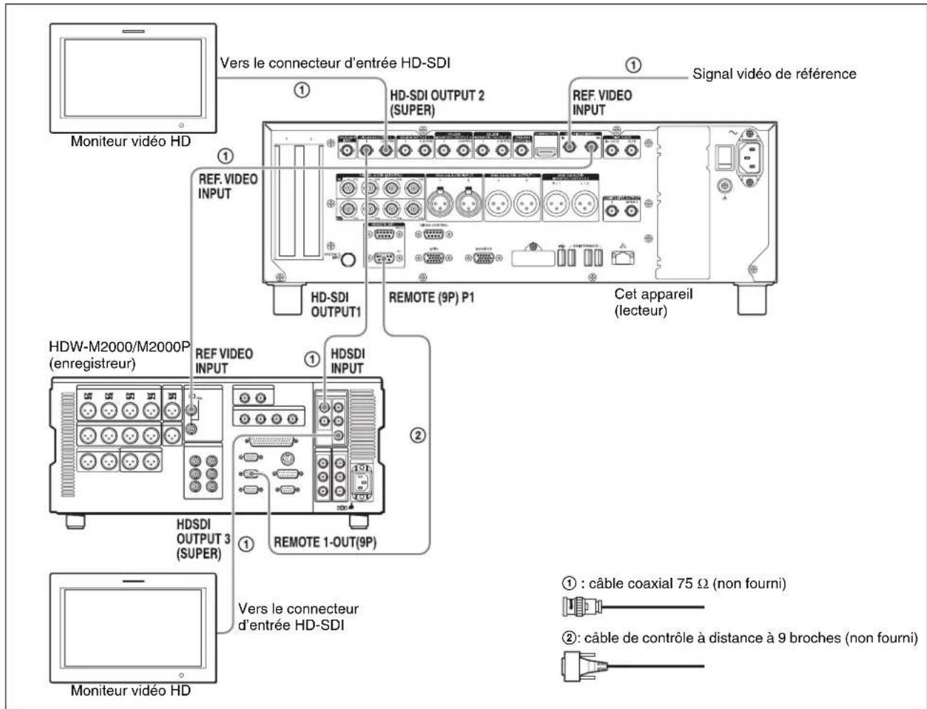 Moniteur vidéo HD Vers le connecteur d'entrée HD-SDI HD-SDI OUTPUT 2 (SUPER) Signal vidéo de référence REF. VIDEO INPUT HD-SDI OUTPUT1 REMOTE (9P) P1 Cet appareil (lecteur) HDW-M2000/M2000P (enregistreur) REF. VIDEO INPUT HDSDI OUTPUT 3 (SUPER) REMOTE 1-OUT(9P) Vers le connecteur d'entrée HD-SDI Moniteur vidéo HD ① : câble coaxial 75 Ω (non fourni) ② : câble de contrôle à distance à 9 broches (non fourni)