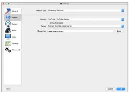 Blackmagic Design Web Presenter - Setting up a YouTube Live streaming channel - 4