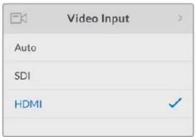 Blackmagic Design Web Presenter - HDMI - 1