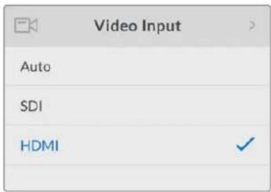 Blackmagic Design Web Presenter - HDMI - 1