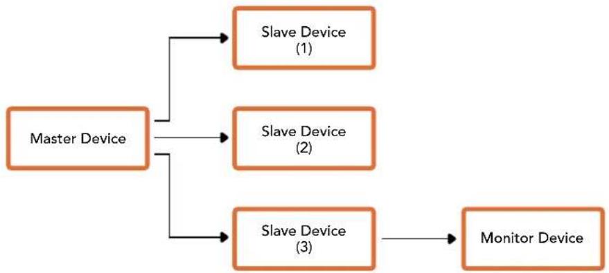 Blackmagic Design Web Presenter - Packet Format - 1
