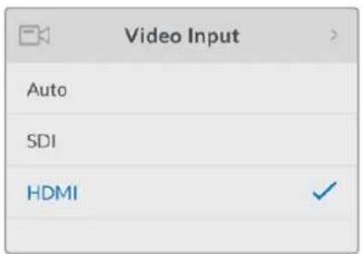 Blackmagic Design Web Presenter - HDMI - 1