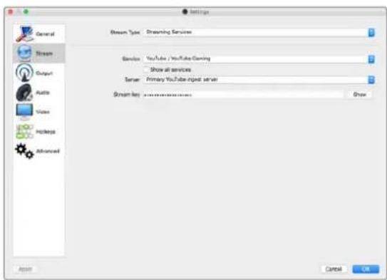 Blackmagic Design Web Presenter - 设立一个YouTube Live流媒体频道 - 4