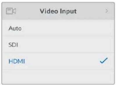 Blackmagic Design Web Presenter - HDMI - 1