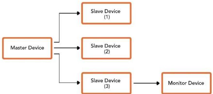 Blackmagic Design Web Presenter - 数据包格式 - 1