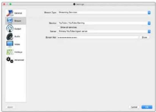 Blackmagic Design Web Presenter - Create an canale di streaming su YouTube Live - 4