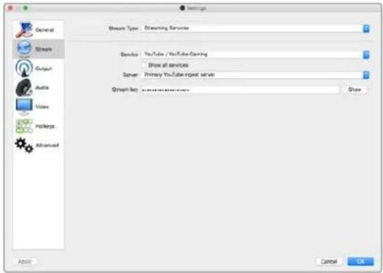 Blackmagic Design Web Presenter - YouTube Live internet yayin kanalinin kurulumu - 4