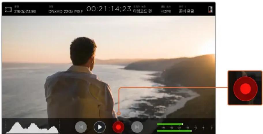 Blackmagic Design Video Assist 4K digital video recorder - 编解码器 - 1