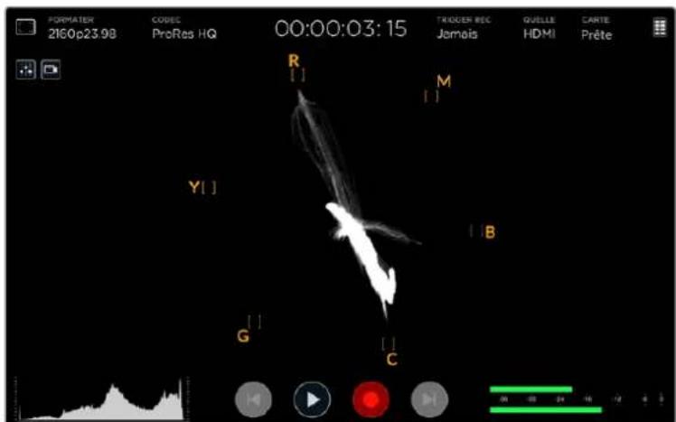 Blackmagic Design Video Assist 4K digital video recorder - Le vecteurscope - 1