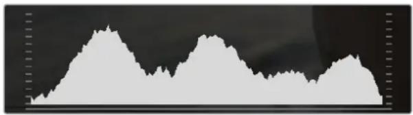 Blackmagic Design Video Assist 4K digital video recorder - Histograma - 1