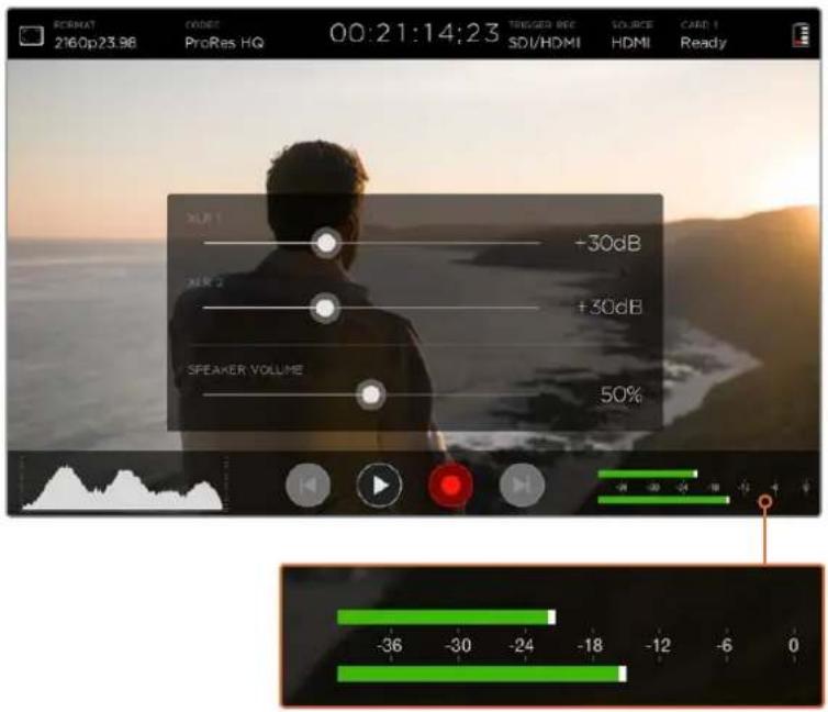 Blackmagic Design Video Assist 4K digital video recorder - Analog Audio levels - 1