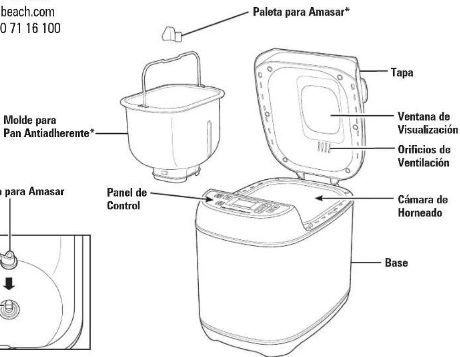 HAMILTON BEACH Artisan 29886 - Partes y Caracteristicas - 2