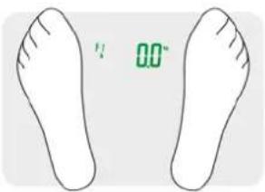 CASO Body Fit 3410 - Weighing and measuring: - 1