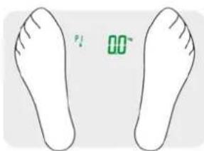 CASO Body Fit 3410 - Wegen en meten: - 1