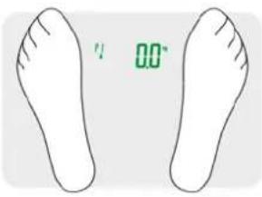 CASO Body Fit 3410 - Wiegen und Messen: - 1