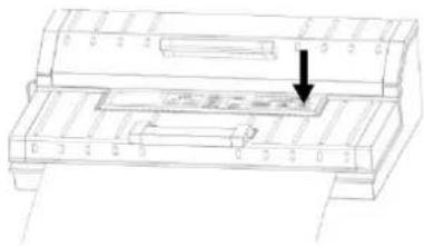 CASO FastVac 4004 - Vacuumverpakken in een zakje van de rol - 7