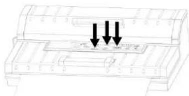 CASO FastVac 4004 - Vakuum-Verpacken in einem Beutel - 3