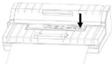 CASO FastVac 4004 - Vakuum-Verpacken in einem von der Rolle stammenden Beutel - 5