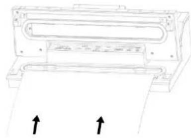 CASO FastVac 4004 - Vakuum-Verpacken in einem Beutel - 1