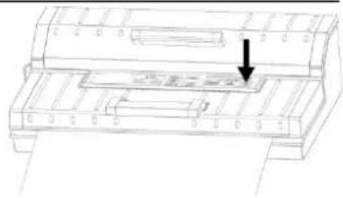 CASO FastVac 4004 - Vacuum with a bag of the bag roll - 6