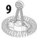 CASO Fomini Crema 1656 - PLEASE NOTE - 1