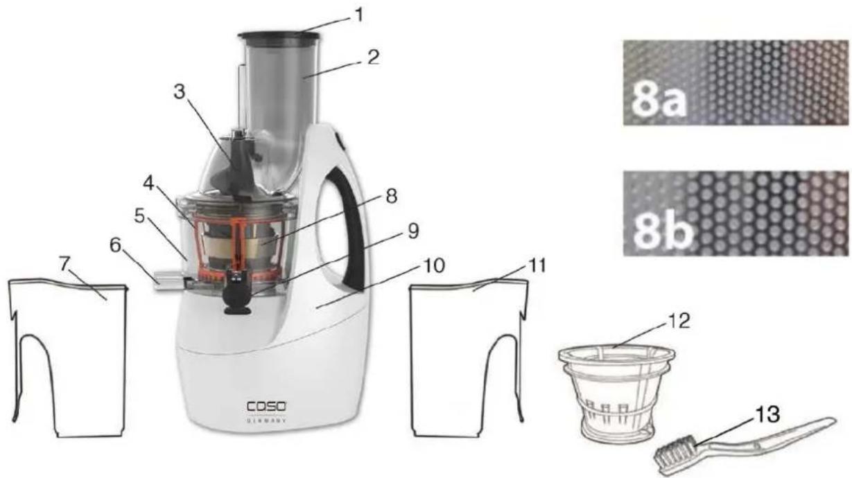 CASO Slow Juicer SJW 450 - Sinopsis - 1