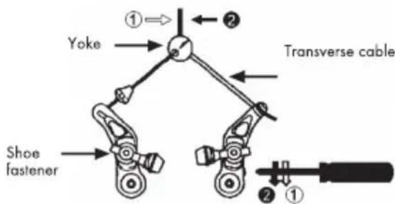 BH FITNESS Oxford Wave - - Cantilever brake - 1