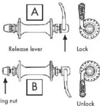 BH FITNESS Glasgow Wave - - Removing and fitting wheels - 1