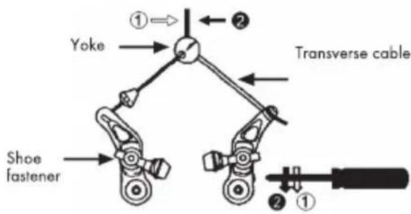 BH FITNESS Boston Wave - Cantilever brake - 1
