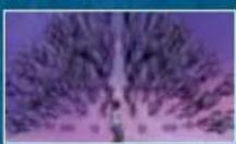 SONY Naruto Ultimate Ninja Heroes (PSP) - Jutsu cache du clan Yamanaka - 2