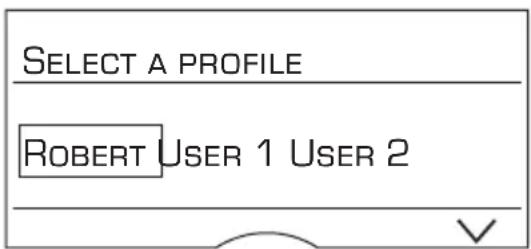 BOSCH VeroBar AromaPro 300 TES71555DE - Calling up a user profile - 1