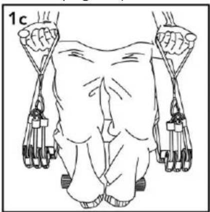 BH FITNESS X.Forte - Manetas - 2
