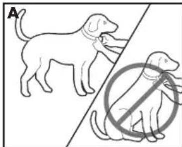 PETSAFE Deluxe Bark Control PBC1913058 - De deluxe antiblafhalsband aanpassen - 2