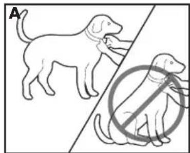 PETSAFE Deluxe Bark Control PBC1913058 - Tilpas luksus gokontrolhalsbandet - 2