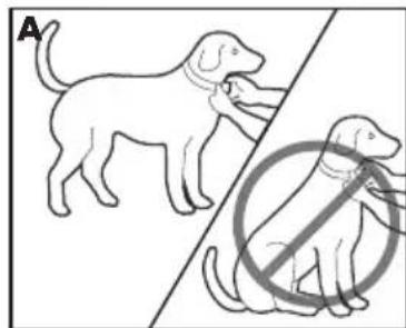 PETSAFE Deluxe Bark Control PBC1913058 - Anlagen des Antibellhalsband Deluxe - 2