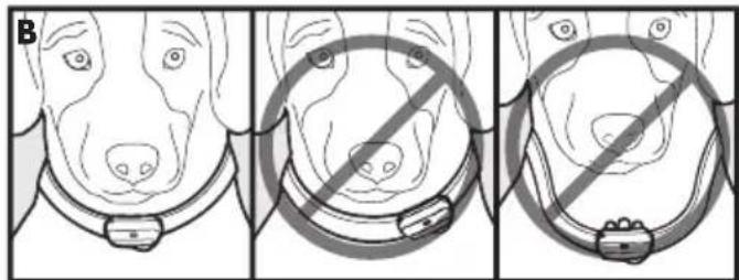 PETSAFE Deluxe Bark Control PBC1913058 - De deluxe antiblafhalsband aanpassen - 1