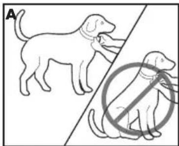 PETSAFE Deluxe Bark Control PBC1913058 - Fit the Deluxe Anti-Bark Collar - 2