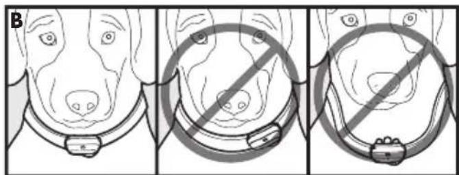 PETSAFE Deluxe Bark Control PBC1913058 - Fit the Deluxe Anti-Bark Collar - 1