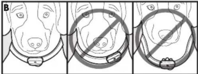 PETSAFE Deluxe Bark Control PBC1913058 - Ajustar el collar antiladrides deluxe - 1