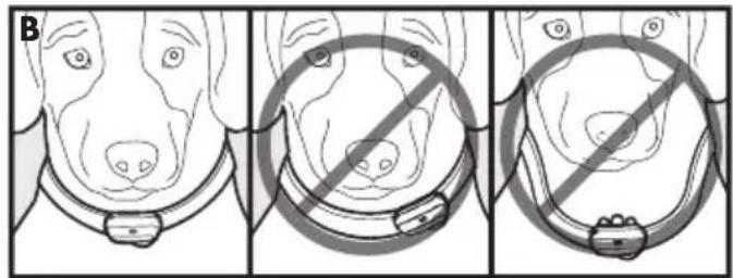 PETSAFE Deluxe Bark Control PBC1913058 - Tilpas luksus gokontrolhalsbandet - 1