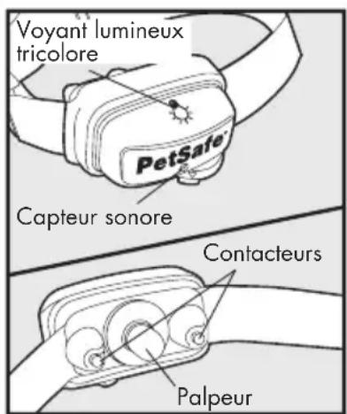 PETSAFE Deluxe Bark Control PBC1913058 - Définitions - 1