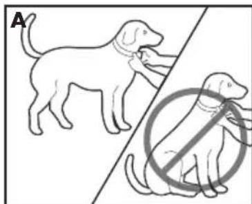 PETSAFE Deluxe Bark Control PBC1913058 - Ajustar el collar antiladrides deluxe - 2