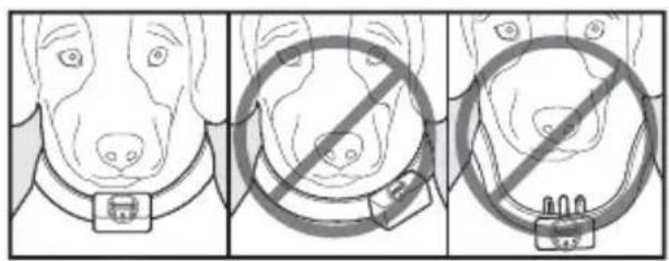 PETSAFE Bark Control PBC1910765 - Caratteristiche - 1