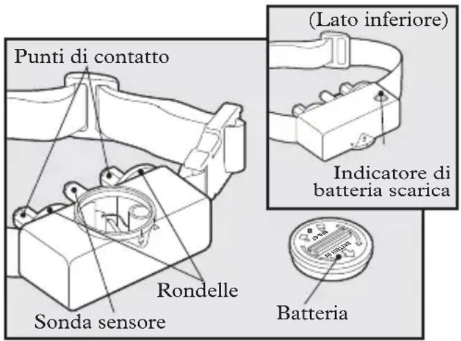 PETSAFE Bark Control PBC1910765 - Defi nizioni chiave - 1