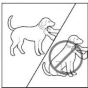 PETSAFE Bark Control PBC1910765 - Anpassen des Anti-Bell-Halsbands - 1