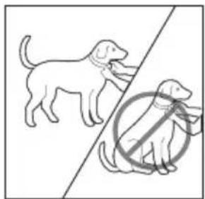 PETSAFE Bark Control PBC1910765 - Pasklaar maken van de antiblafhalsband - 1