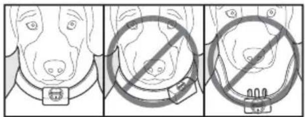 PETSAFE Bark Control PBC1910765 - Fit the Bark Control Collar - 2