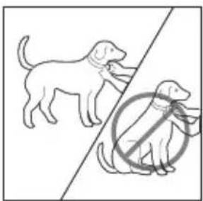 PETSAFE Bark Control PBC1910765 - Ajuste del collar antiladridos - 1