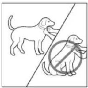 PETSAFE Bark Control PBC1910765 - Come mettere il collare antiabbaio - 1