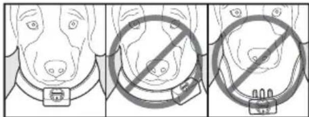 PETSAFE Bark Control PBC1910765 - Accessoires - 3
